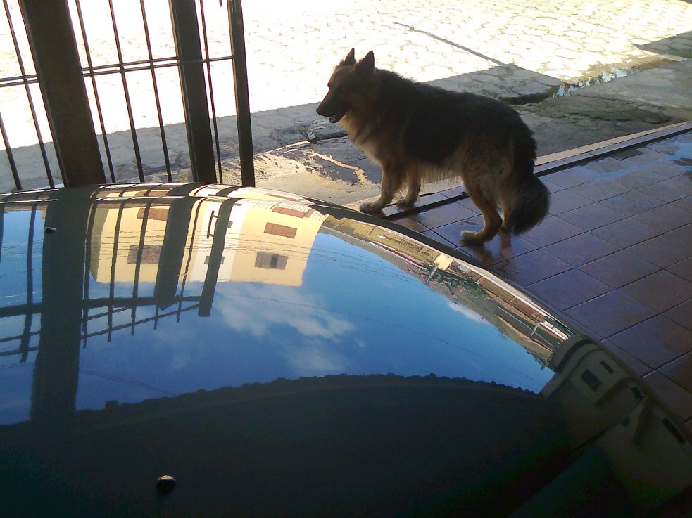 Imagem