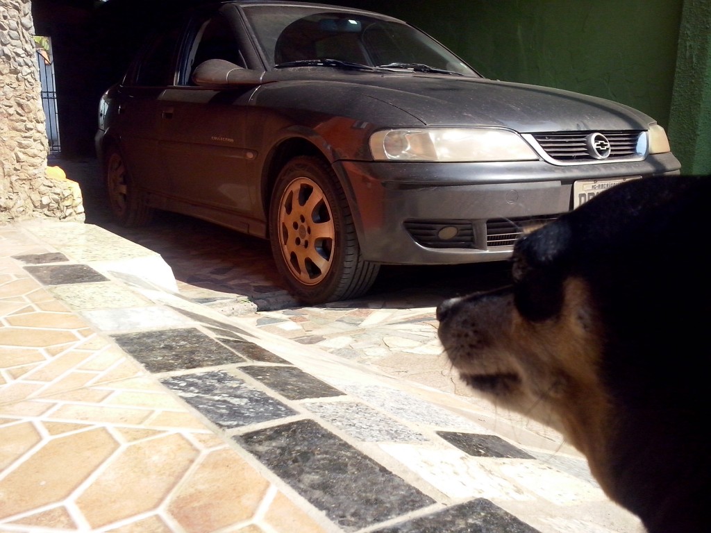Imagem