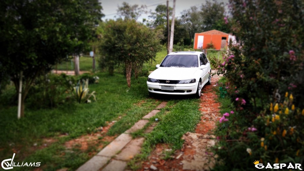 Imagem